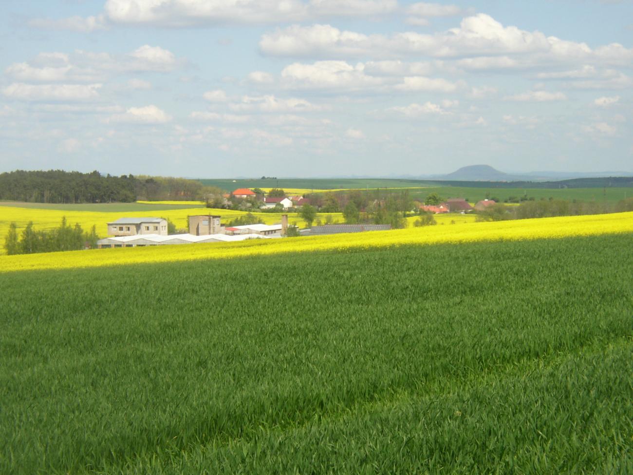 Lotouš